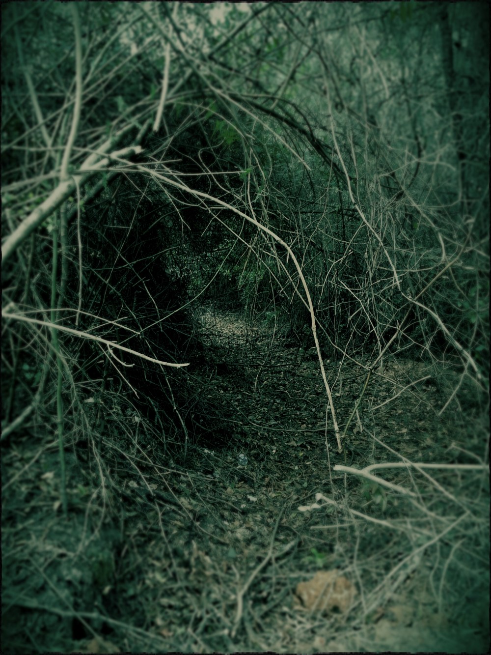 IMG_20141122_172851_Polak_Perga