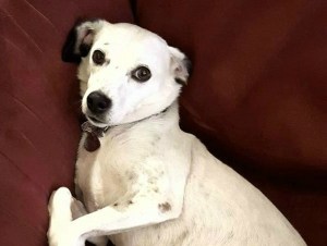 FeaturedWinifredFINAL3